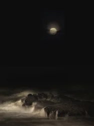 Mistig maanlandschap aan zee