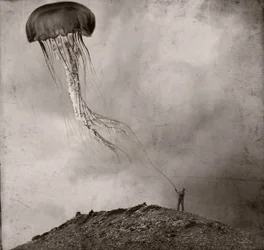 Surrealistische kwallenvlieger