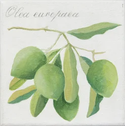 Groene olijven (acryl)