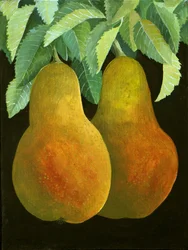 Peren, 2014 (acryl op doek)