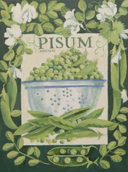 Pisum, erwten (acryl)
