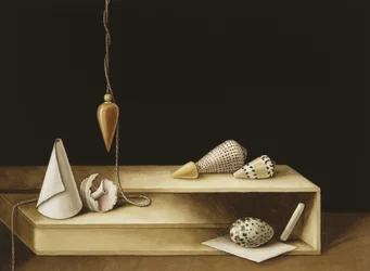 Optische illusie, 2005