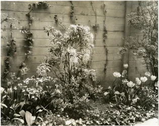 De heer en mevrouw John Morgan, 39 W 11 St, Andromeda plant, Greenwich Village, New York, VS, ca. 1939-40