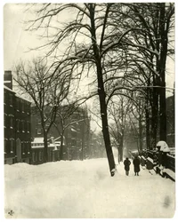 Mt Vernon Street, Boston, ca. 1902-10