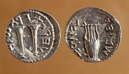 Munten uit de Bar Kochba-opstand, 134-135 (metaal)