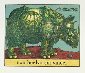 Groene Neushoorn