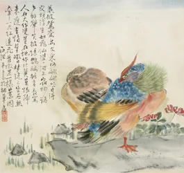 Een paar Mandarijneenden, 1857