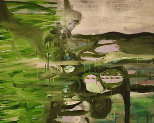 Weerspiegelingen in groen water