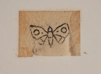 Insect
