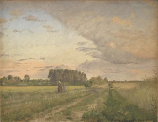Zomerlandschap