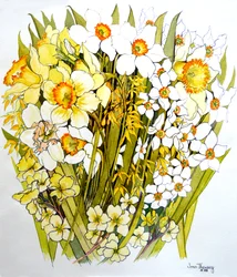 Narcissen, Narcissen, Forsythia en Sleutelbloemen