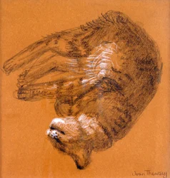 Slapende Cyperse Kat, 2005