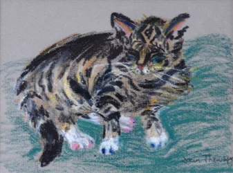 Cyperse kat, 2005