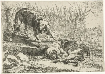 Twee honden