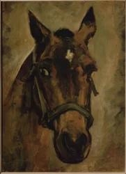Paardenhoofd