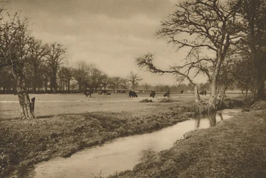 Waar Beverley Brook door het Koninklijk Jachtpark van Richmond slingert. Circa 1935