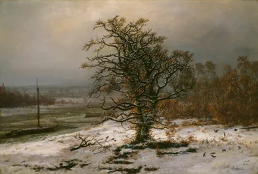 Eik aan de Elbe in de winter