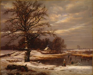Deense winterlandschap