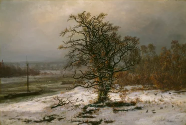Eikenboom bij de Elbe in de winter