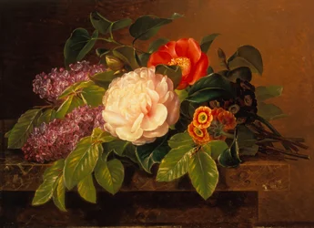 Pioenen, seringen en primula