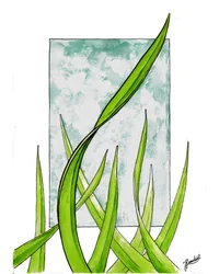 Frisse groene groei