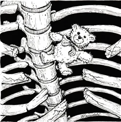 Skeletachtige teddybeer
