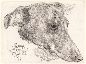 Deens: Hundehoved, Snip