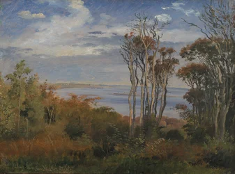 Kolås Bos, Vejrhøj