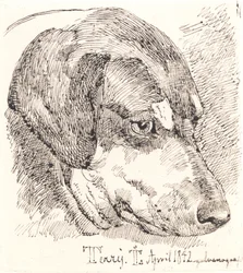 Hondenkop, Terry