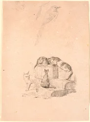 De katten. Bovenaan een potloodstudie van een kattenhoofd en twee eksters
