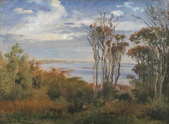 Kolås Bos, Vejrhøj