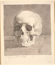 Schedel, gezien van voren