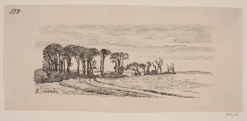Landschap met een rij bomen