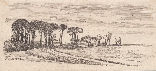 Landschap met een rij bomen