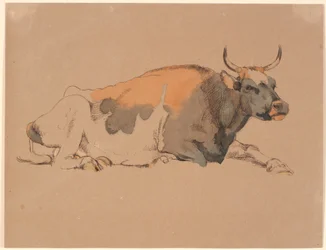 Liggende rood- en zwartbonte koe