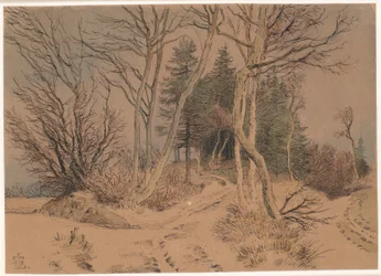 Met sneeuw bedekte wegen tussen sparren en kale bomen