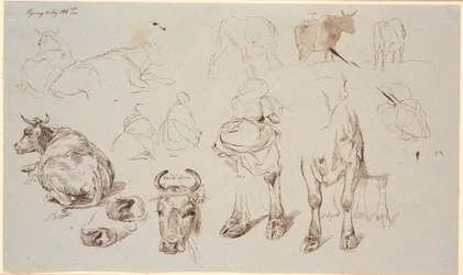 Studieblad van Vognserup. Bovenaan studies van koeien, in het midden 4 studies van melkmeisjes van achteren gezien