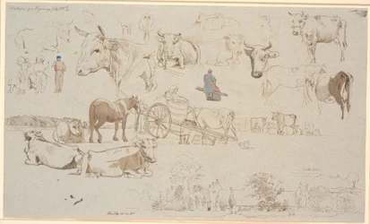 Studieblad van de melkplaats in Vognserup. Bovenaan vooral studies van koeien, in het midden o.a. melkwagen en onderaan hoofdgebouw en bijgebouwen van Vognserup