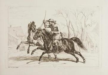 Hongaar te paard