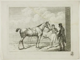 Manege en paarden