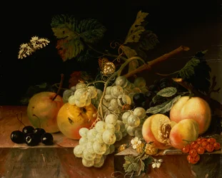 Fruit op een marmeren rand met vlinders, slak en rups