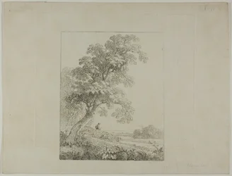 Landschap met een grote boom