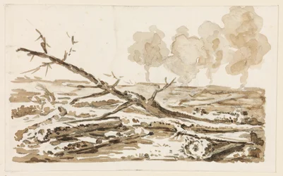 Landschapsschets met geboomte op de grond