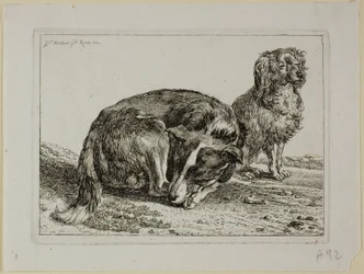 Twee rustende honden, uit Die Zweite Thierfolge