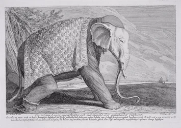 Een Olifant