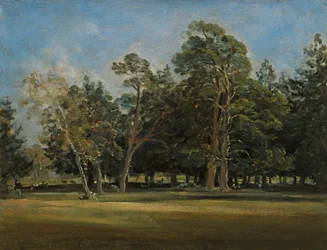 Het hertenpark bij München
