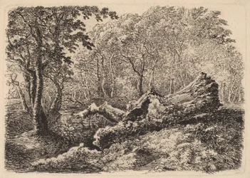 Vergaande Boomstam, 1794