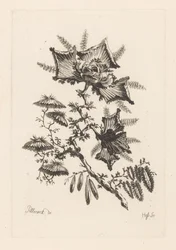 Bloemen in vliegervorm
