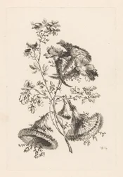 Driehoekige bloemen