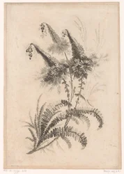 Puntige bloemen (Recueil De Nouvelles Fleurs De Goût; Pour la Manufacture des Etoffes de Perse)